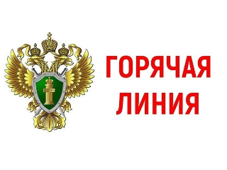 Горячая линия